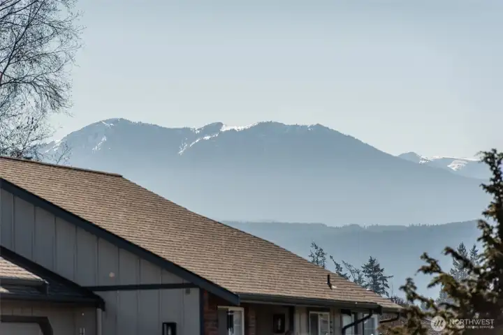 Neighborhood Mountain Views