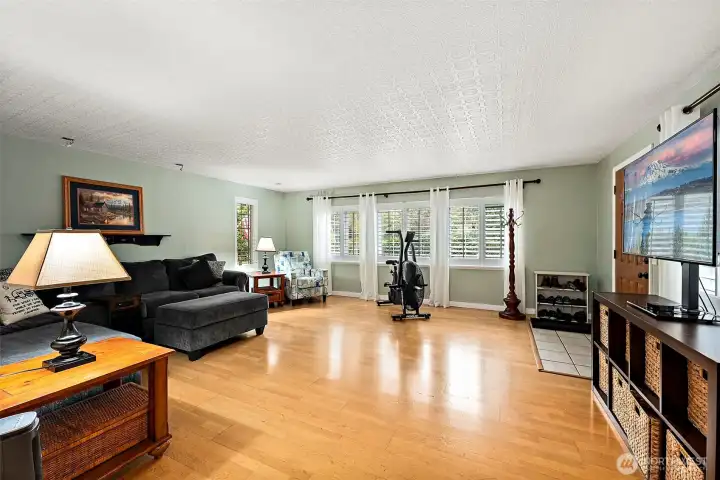 Wow! Here's a surprise - an expansive family room.
