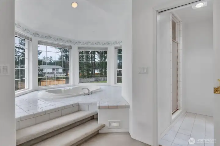 Sunny, elegant space for relaxation or re-imagine this primary bathroom space