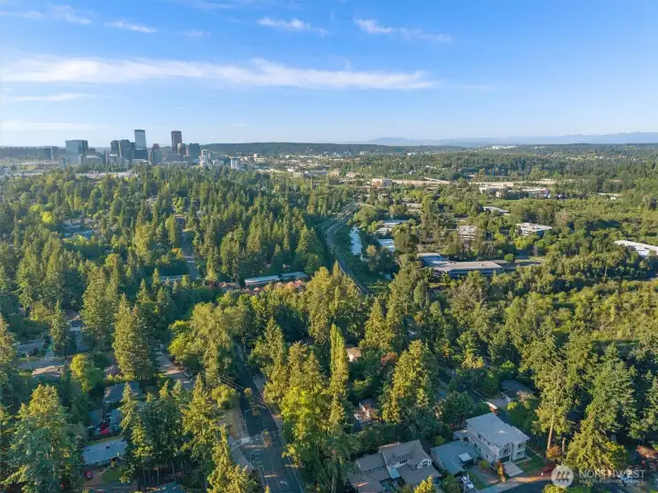 Exceptional location near Enatai Beach, the Triangle Pool Club, parks, and top-rated Bellevue schools.