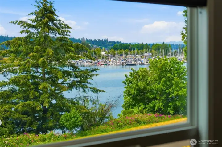 Swantown Marina from your living room