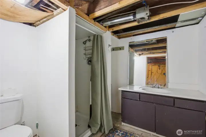 Basement Bathroom Basement Bathroom