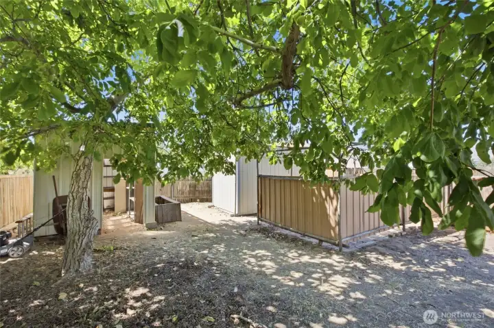 Backyard - Has green house, storage shed, and private area. Backyard - Has green house, storage shed, and private area.