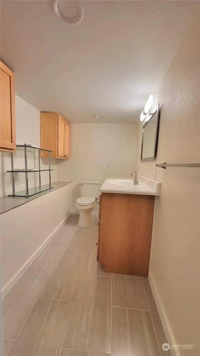 lower level bathroom