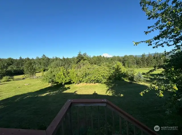 View from the back deck