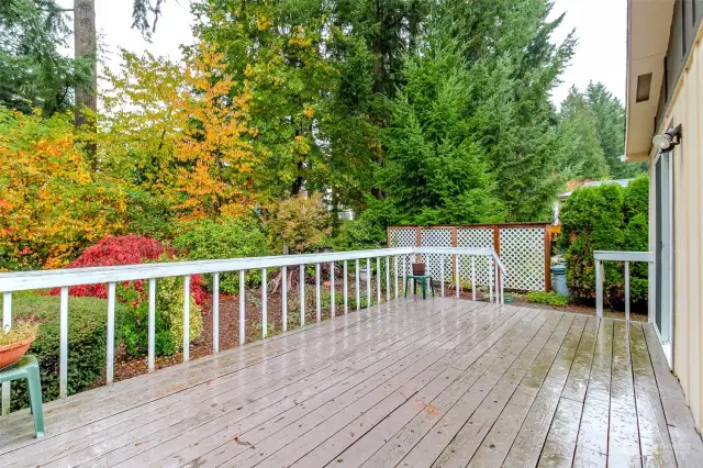 This view from the deck and backyard face the neighbors lattice fence.