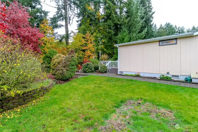 Side yard behind the garage.