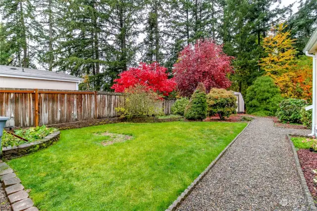 Gorgeous and vibrant Fall colors throughout the back yard.