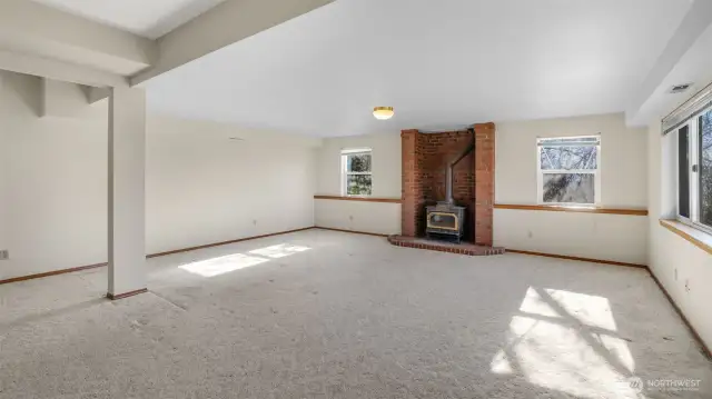 Basement over 1400Sqft with Wood Fireplace