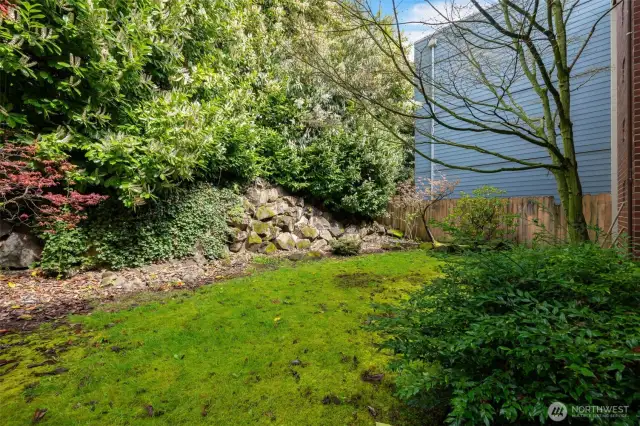 Private back yard area
