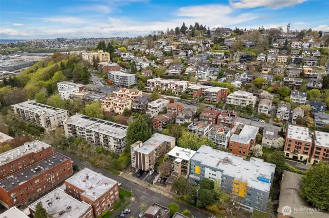 Queen Anne
