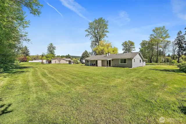Spacious Backyard