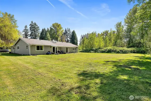 Spacious Backyard