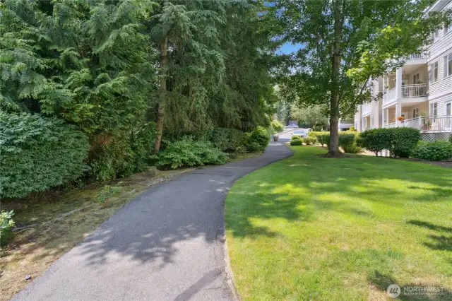 Burke-Gilman Trail 2