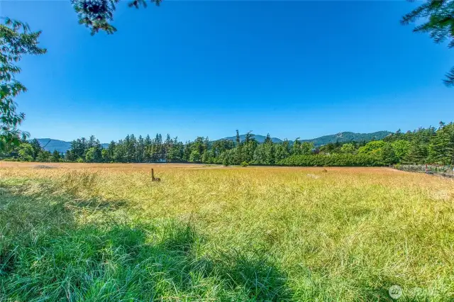 Gorgeous level meadow. Horses? Gardens? Dream home? Or leave as-is and enjoy the view.