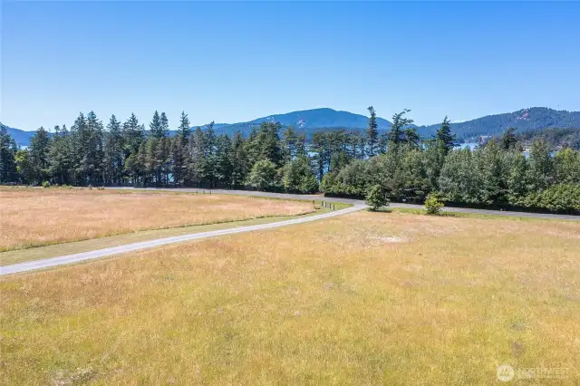 View across the meadow towards East Sound.