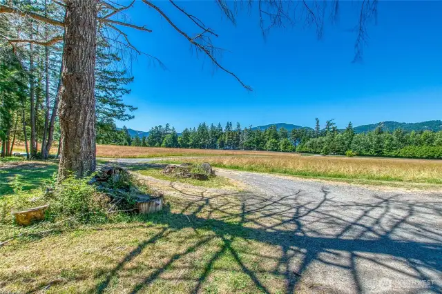 Looking ~southwest from the top of the driveway.
