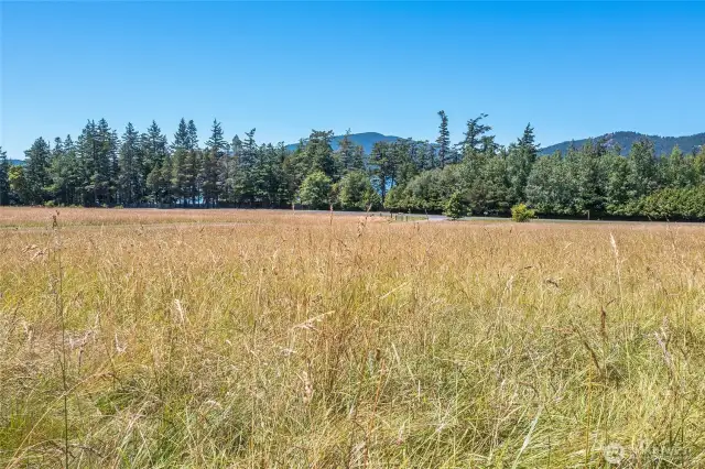 In the field looking ~west.