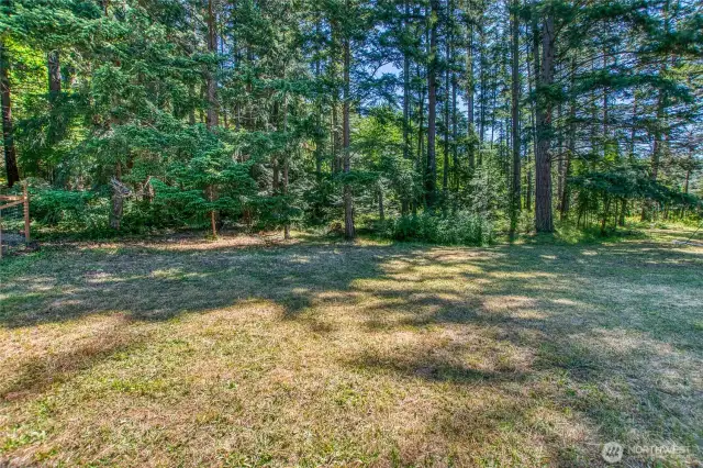The border where the meadow meets the forest. Approximately 1.5 acres of forest along the easter portion of the parcel.