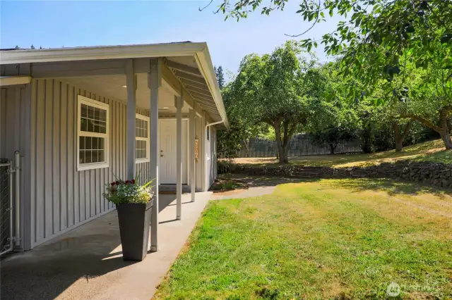 West side of home loaded with producing apple and other fruit tress.