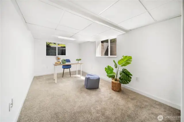 Flex room on lower level for your specific needs.