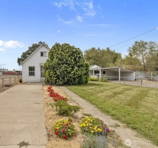 Front of house/front yard
