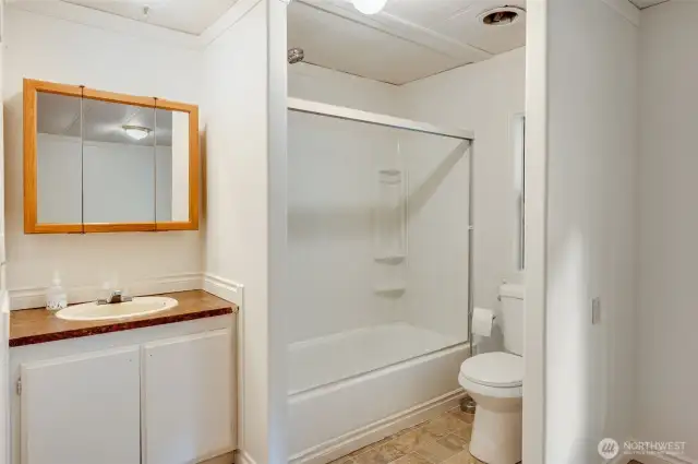 The full bathroom in the extra finished room.
