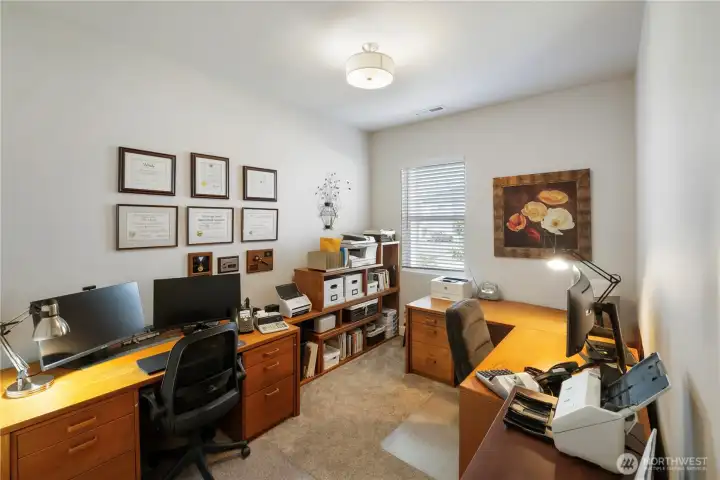 Lower level bedroom currently used as an office.