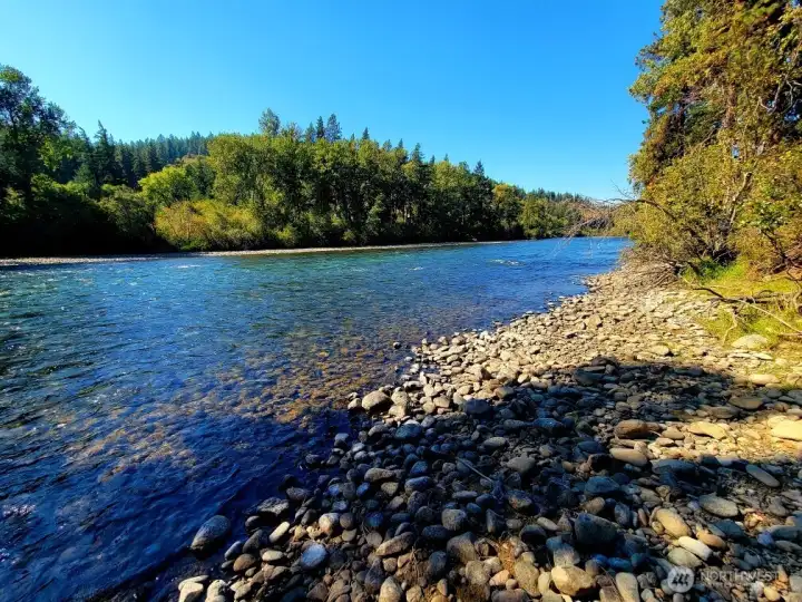 Looking West along the river bank