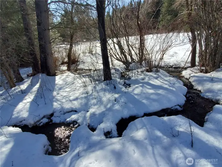 Streams and creeks run through the entire ranch