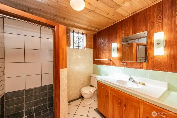 Lower Level Bathroom