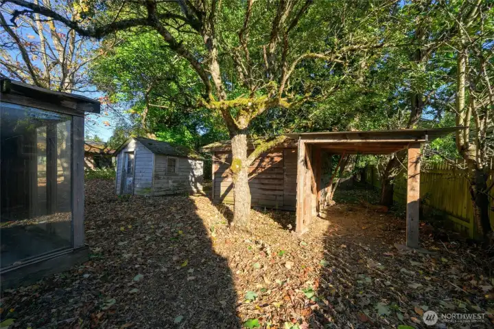 Chicken coop and storage shed.