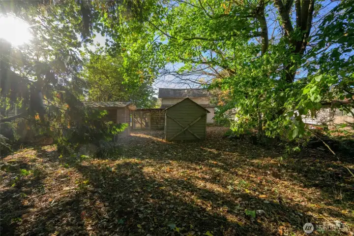 Huge lot with so much potential.