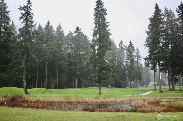 The golf course is beautiful even on a winter foggy day.