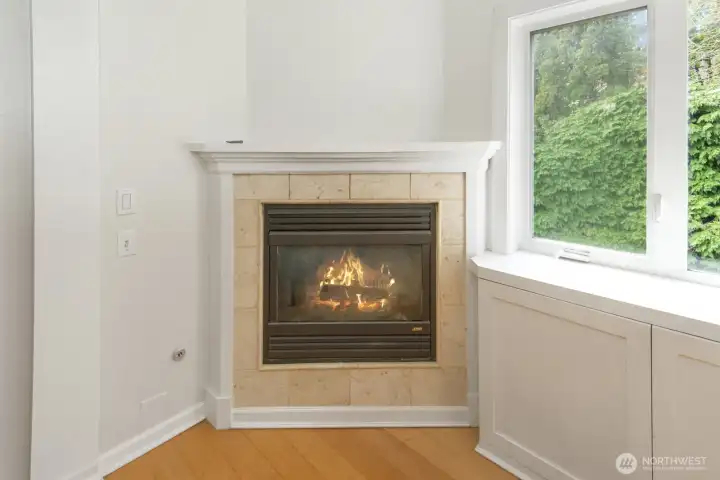 Gas fireplace