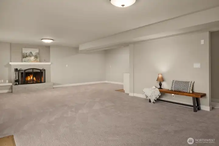 Lower Floor Bonus Room