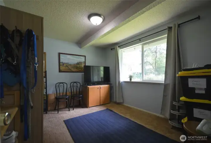 Downstairs Bedroom