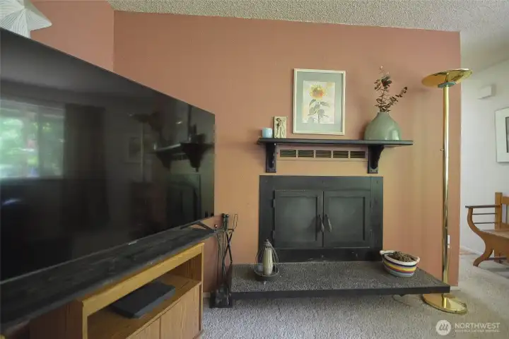 Living Room with Wood Burning Fireplace