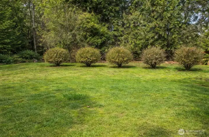 Before Septic Install