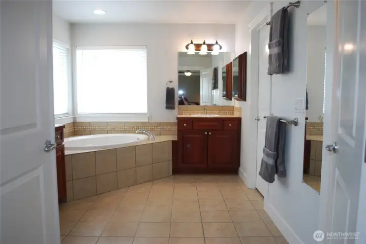 Bathroom suite features separate vanities, soaker tub, shower, private privy, and a walk in closet.