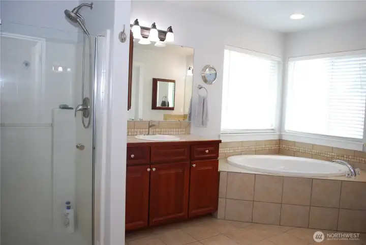 Bathroom suite features separate vanities, soaker tub, shower, private privy, and a walk in closet.