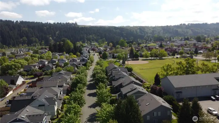 Charming tree lined neighborhood to stroll at your leisure.