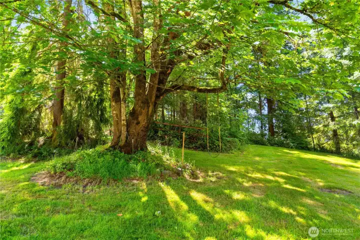 What's not to enjoy? So many possibilities.