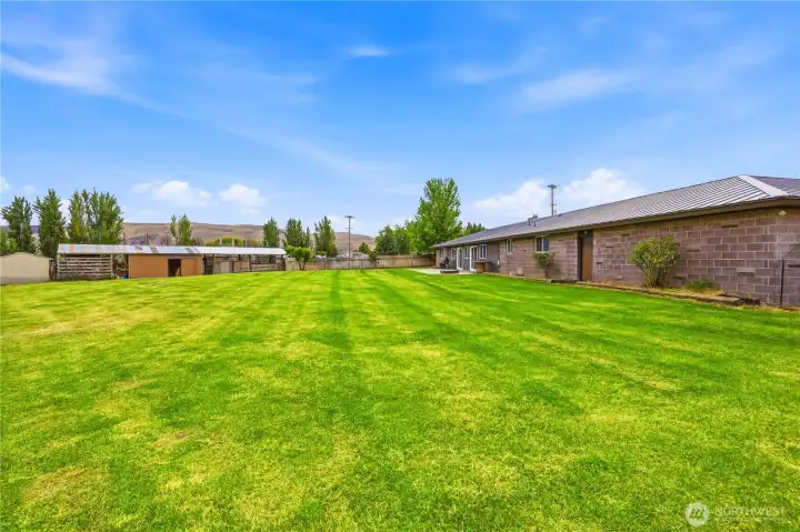 Spacious Back Yard