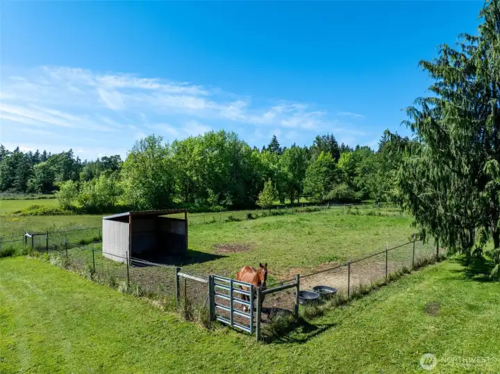 Horse pasture and shelter. Would be great for goats or cows too.
