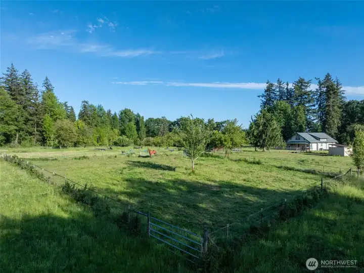 Lush green fields