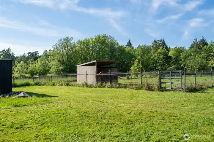 Horse pasture and shelter