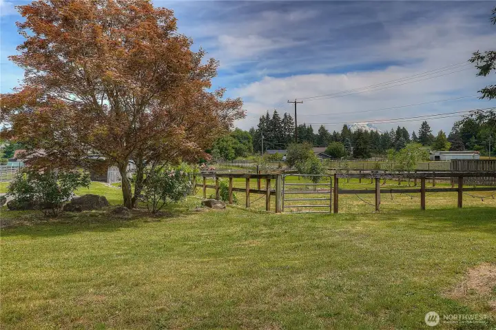 Horse pasture Horse pasture