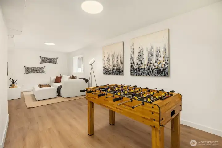 Lower Level Family Room