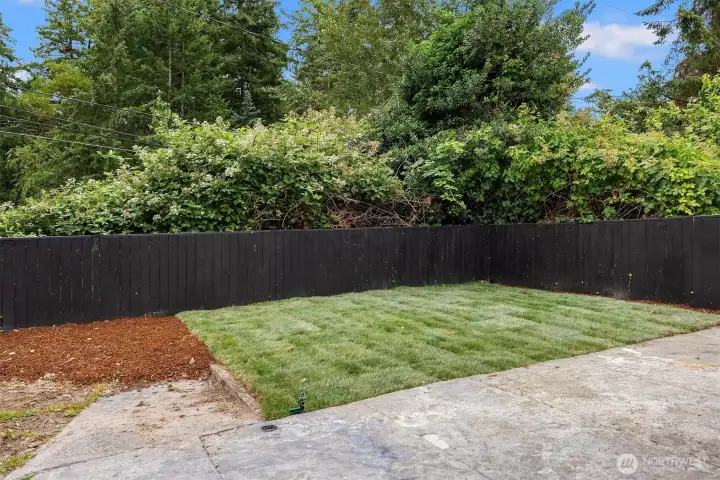 Back Yard